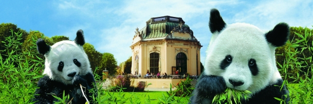 ZOO Schönbrunn