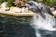 Německý LEGOLAND® a norimberská zoo s delfináriem