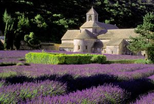 Za sluncem a vůněmi francouzské Provence