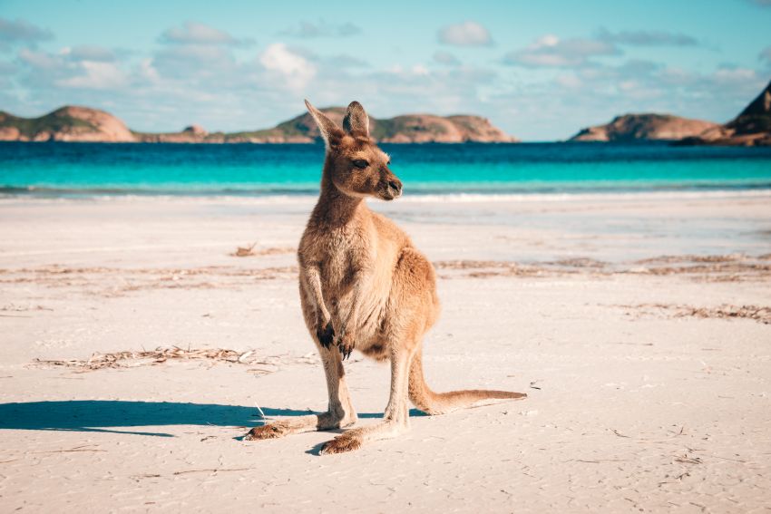 Velký okruh Austrálií / možné prodloužení na Nový Zéland