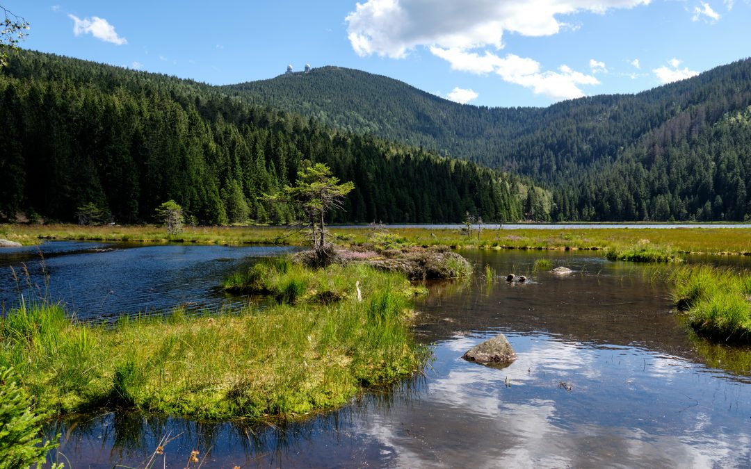 Šumava z české i německé strany