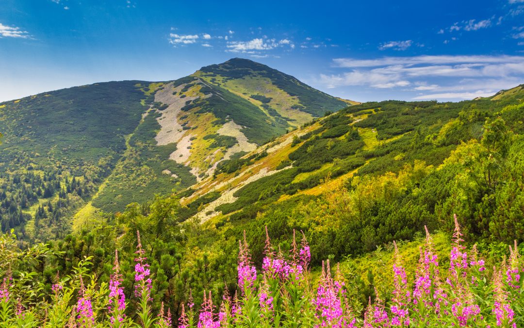 Slovensko | Kysuce – Malá Fatra – Orava