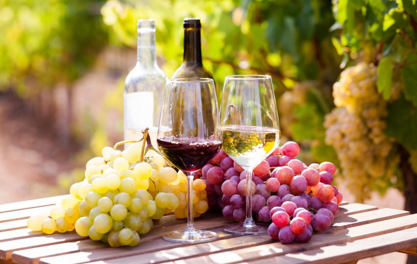 Vinařský zájezd do Maďarska