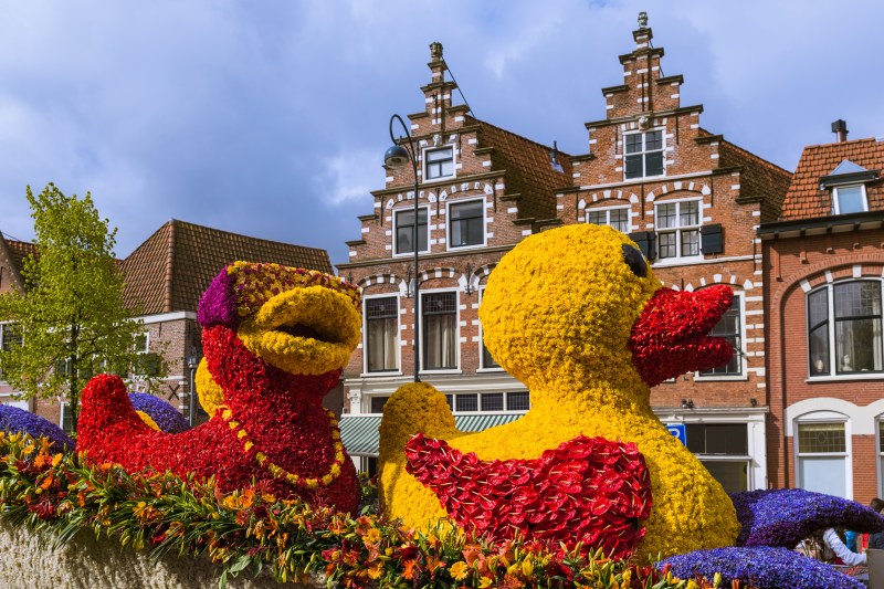 Belgie a Nizozemsko | Květinové korzo a květinový park Keukenhof