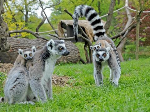 ZOO Lešná a lázně Luhačovice