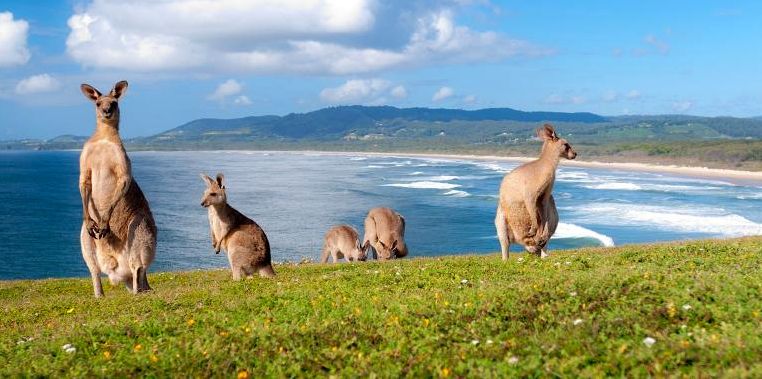 Velký okruh Austrálií / možné prodloužení na Nový Zéland