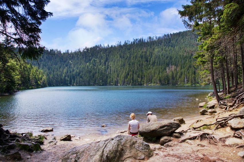 Šumava