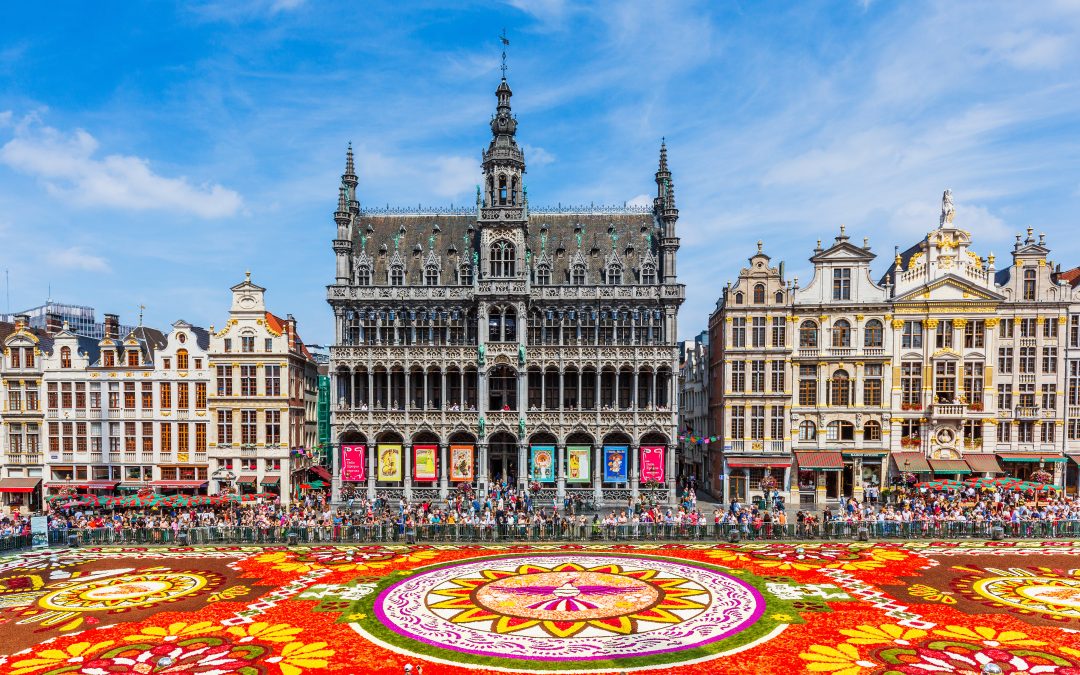 Belgické království s květinovým kobercem v Bruselu