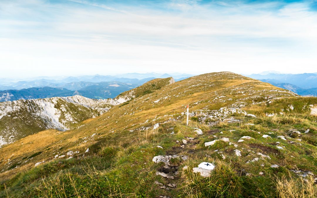 Ötscher-Tormäuer