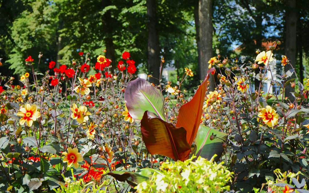 Tulln | největší květinová výstava svého druhu v Evropě